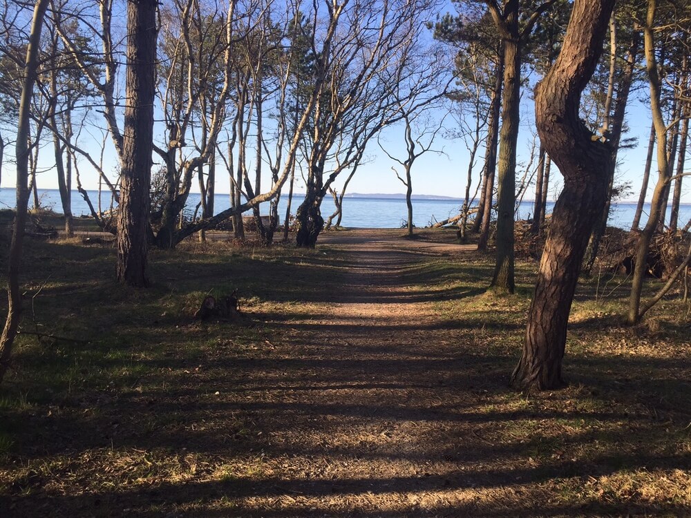 Det vakre området Nordsjælland innbyr til et opphold i luksushus nr. 309.