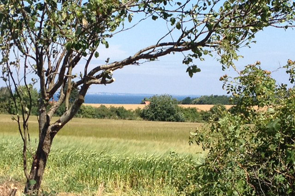 Besøk luksushus nr. 318 i Fyn og øyer.