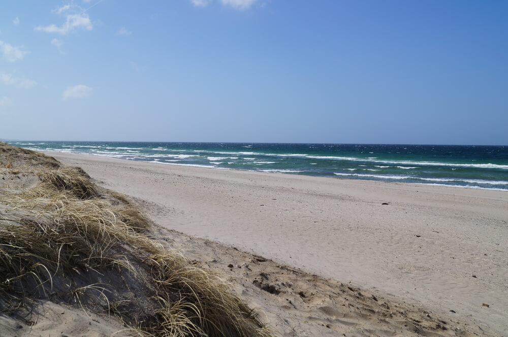 Stranden nær luksushus nr. 339 i Nordsjælland er ideell til gåturer.