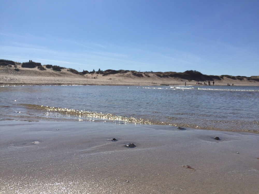 Den flotte stranden nær luksushus nr. 410 ved Nordsjælland.