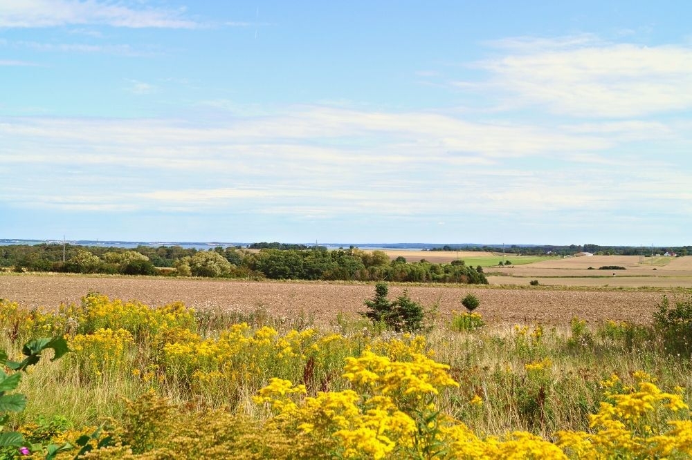 Besøk luksushus nr. 425 i Nordsjælland.