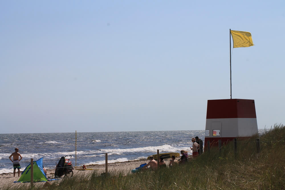 Stranden nær luksushus nr. 433 i Lolland/Falster/Møn er ideell til gåturer.