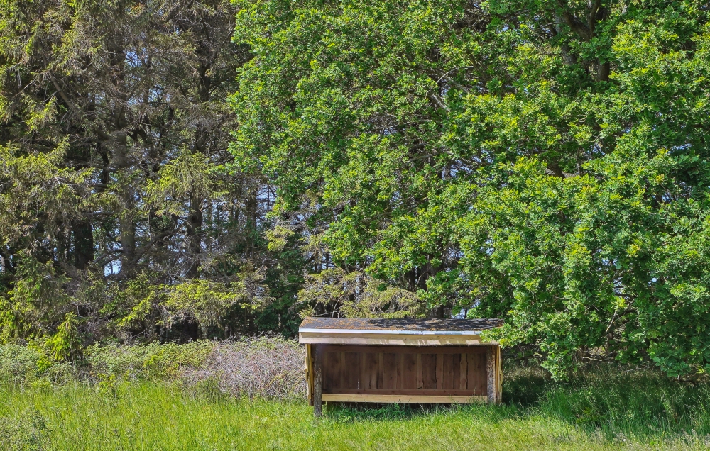 Stort utvalg av utendørsaktiviteter ved luksushus nr. 581 i Østjylland.