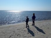 Stranden nær luksushus nr. 596 i Sydjylland er ideell til gåturer.