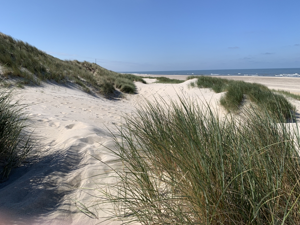 Stranden nær luksushus nr. 605.