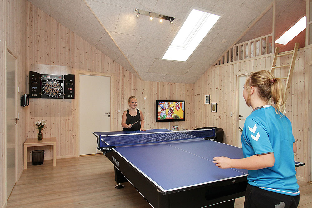I tillegg til alle aktivitetsmulighetene i husets bassengavdeling, kan du også spille biljard, bordtennis og dart i luksushus nr. 270