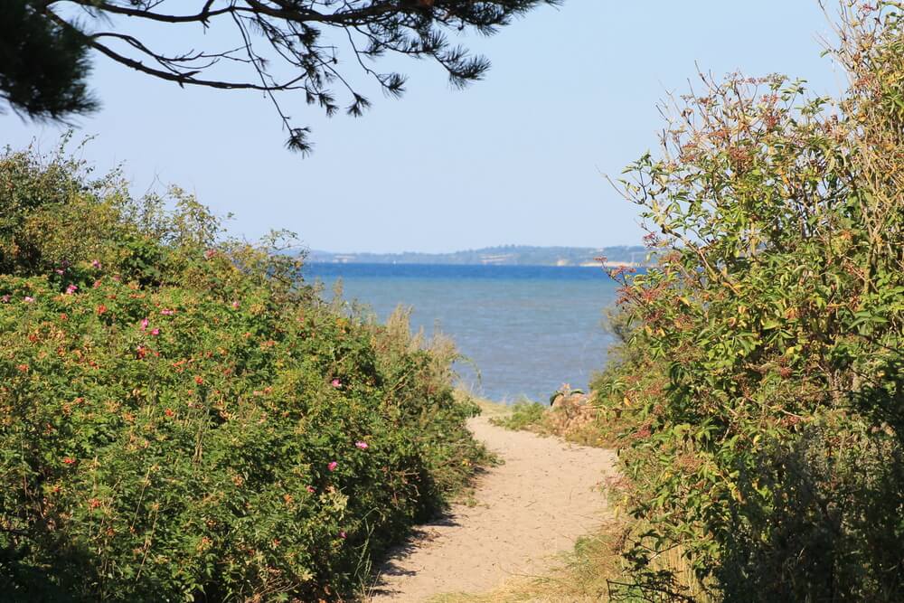 Stranden nær luksushus nr. 245 i Sydjylland er ideell til gåturer.