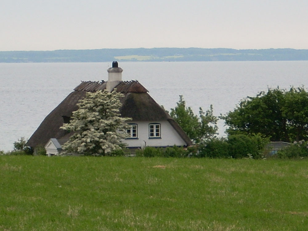 Det vakre området Sydjylland innbyr til et opphold i luksushus nr. 241.