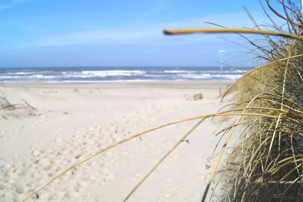 Den flotte stranden nær luksushus nr. 224 ved Vestjylland.