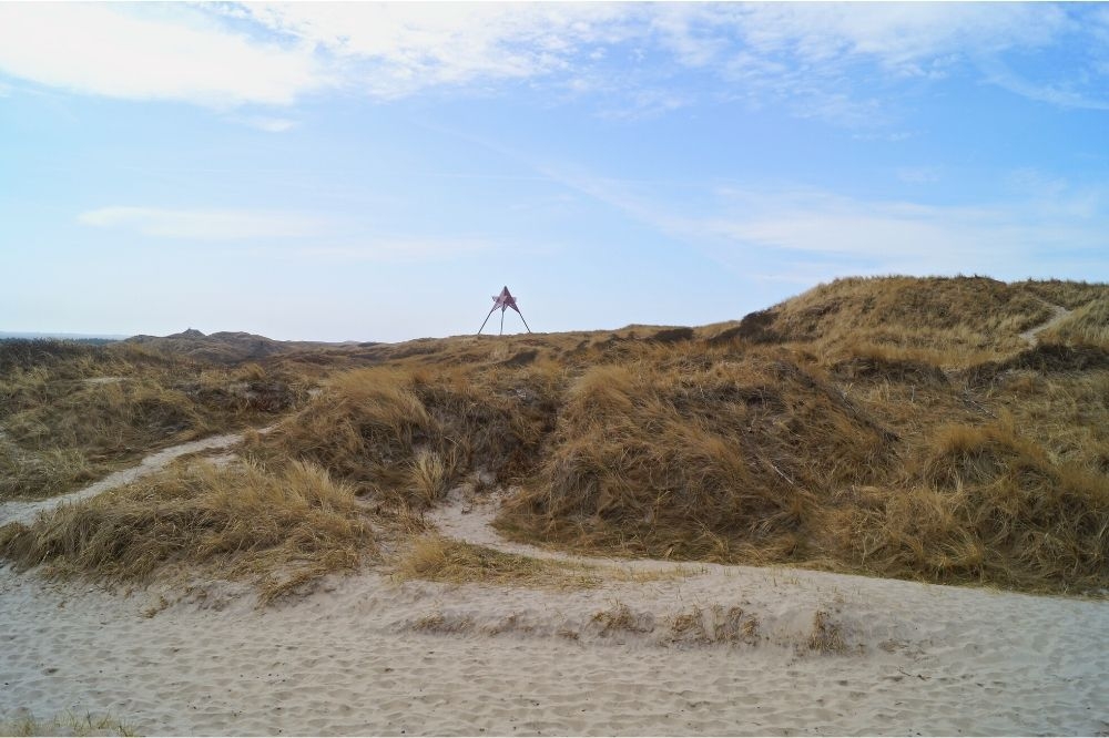 Stranden nær luksushus nr. 224 i Vestjylland er ideell til gåturer.