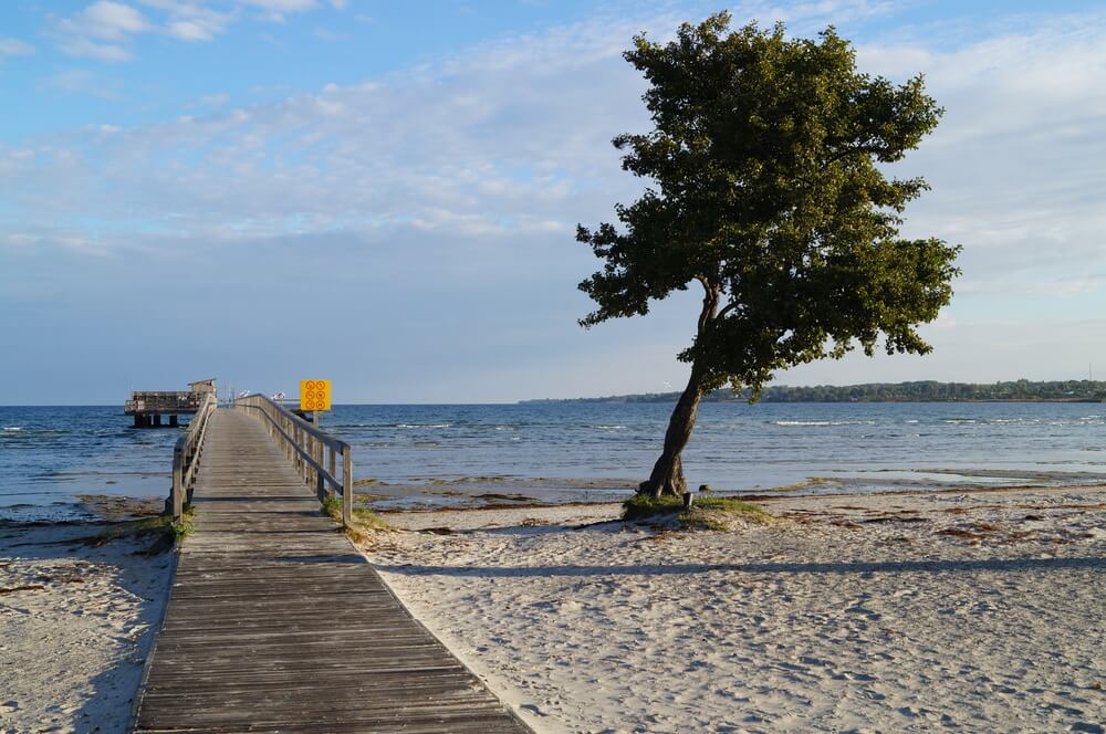 Stranden nær luksushus nr. 127 i Sverige er ideell til gåturer.